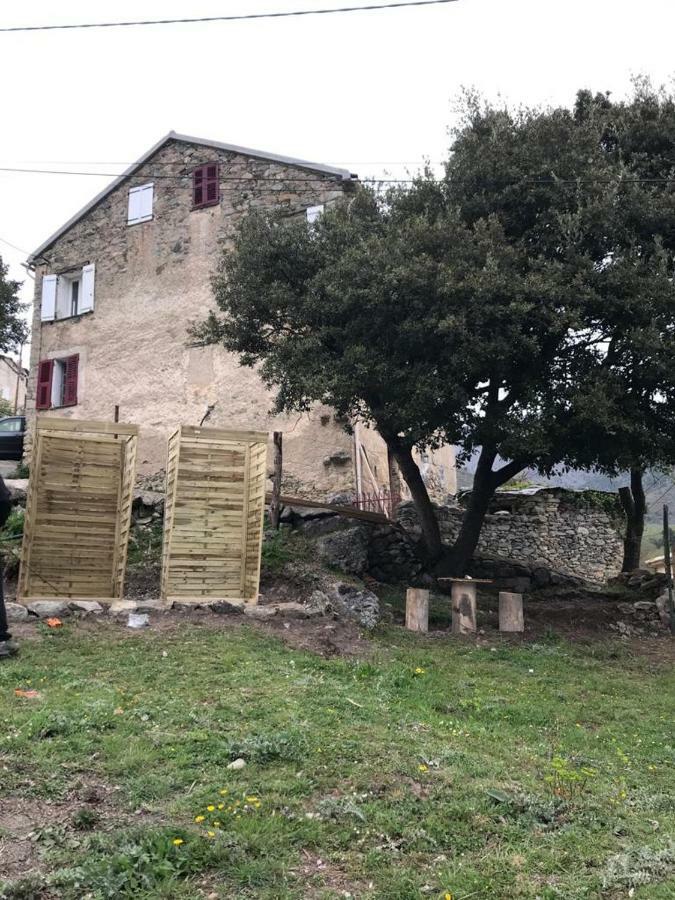 Camping L'Agrottu Au Coeur De La Corse Santa-Lucia-di-Mercurio Exterior foto
