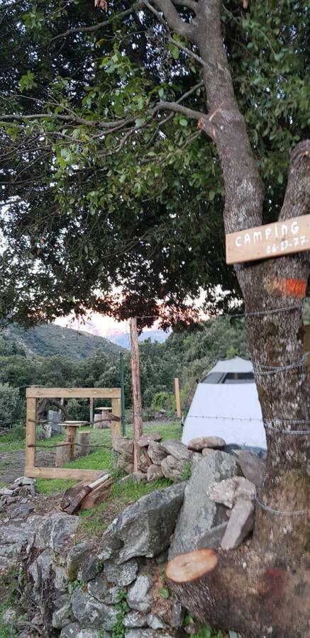 Camping L'Agrottu Au Coeur De La Corse Santa-Lucia-di-Mercurio Exterior foto